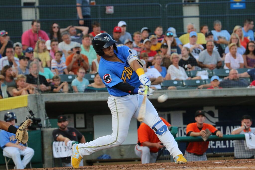 Myrtle Beach Pelicans Baseball