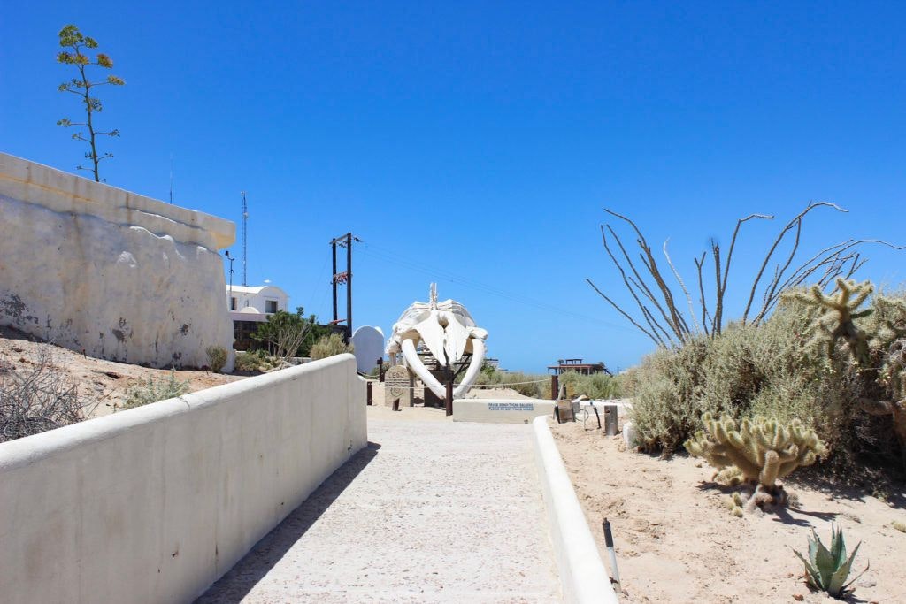 cedo-intercultural-center-for-the-study-of-deserts-and-oceans-021