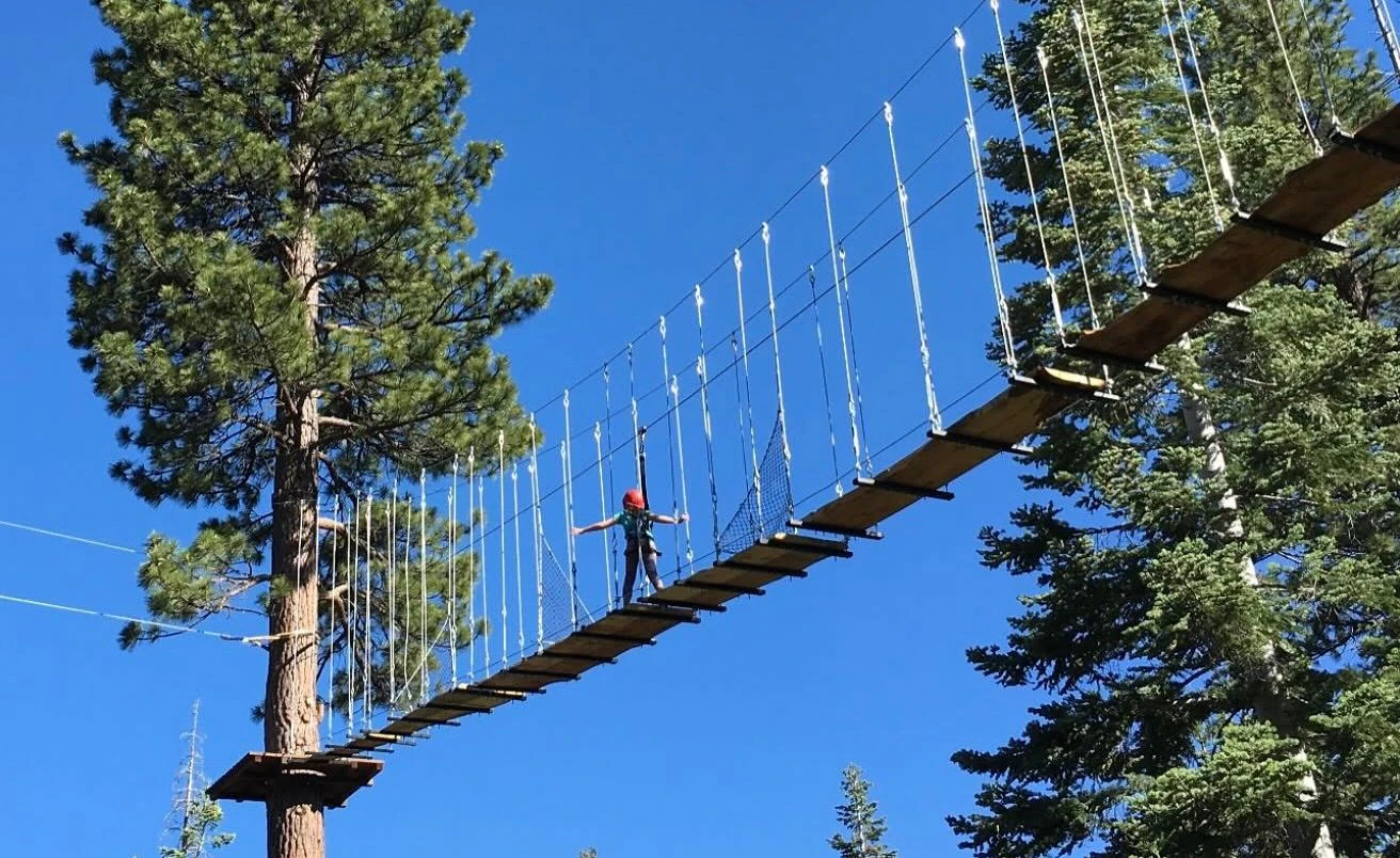 Treetop 2.jpeg