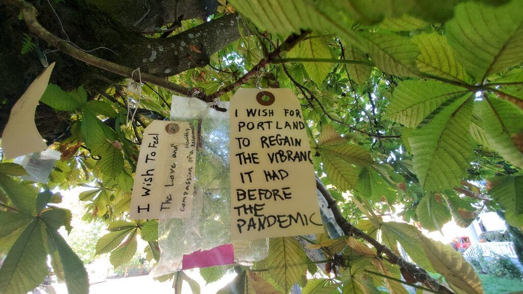 the-wishing-tree-001