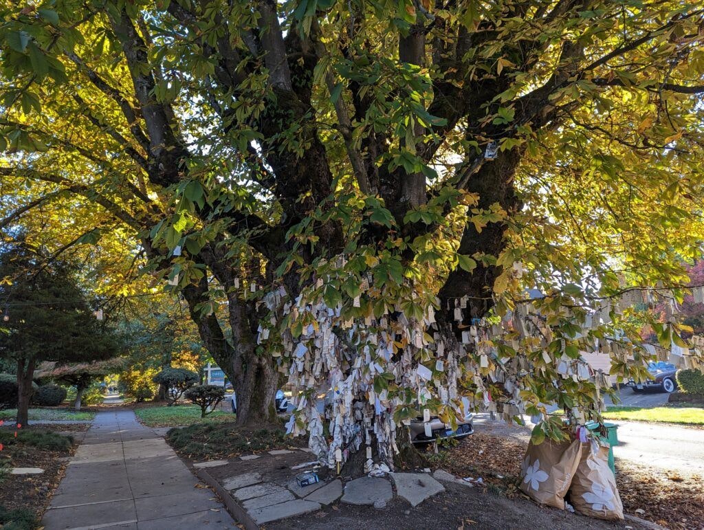 the-wishing-tree-004