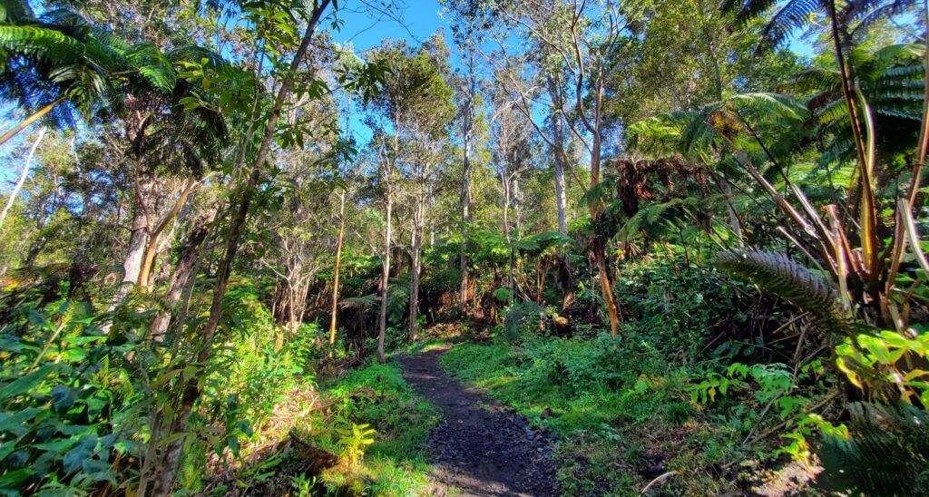 makahi-st-trailhead-001