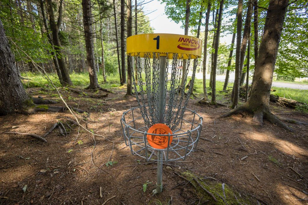 fairy-diddle-disc-golf-005