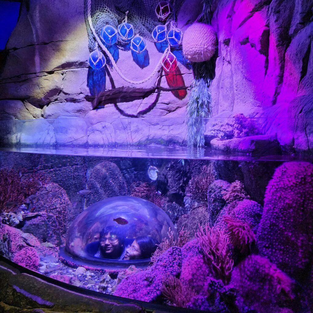 sea-life-aquarium-012