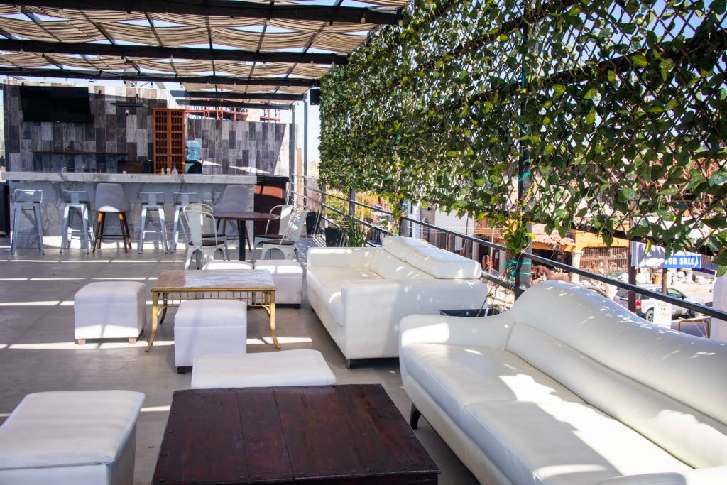 grapes-and-barley-026