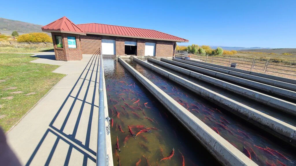 strawberry-reservoir-visitors-center-003
