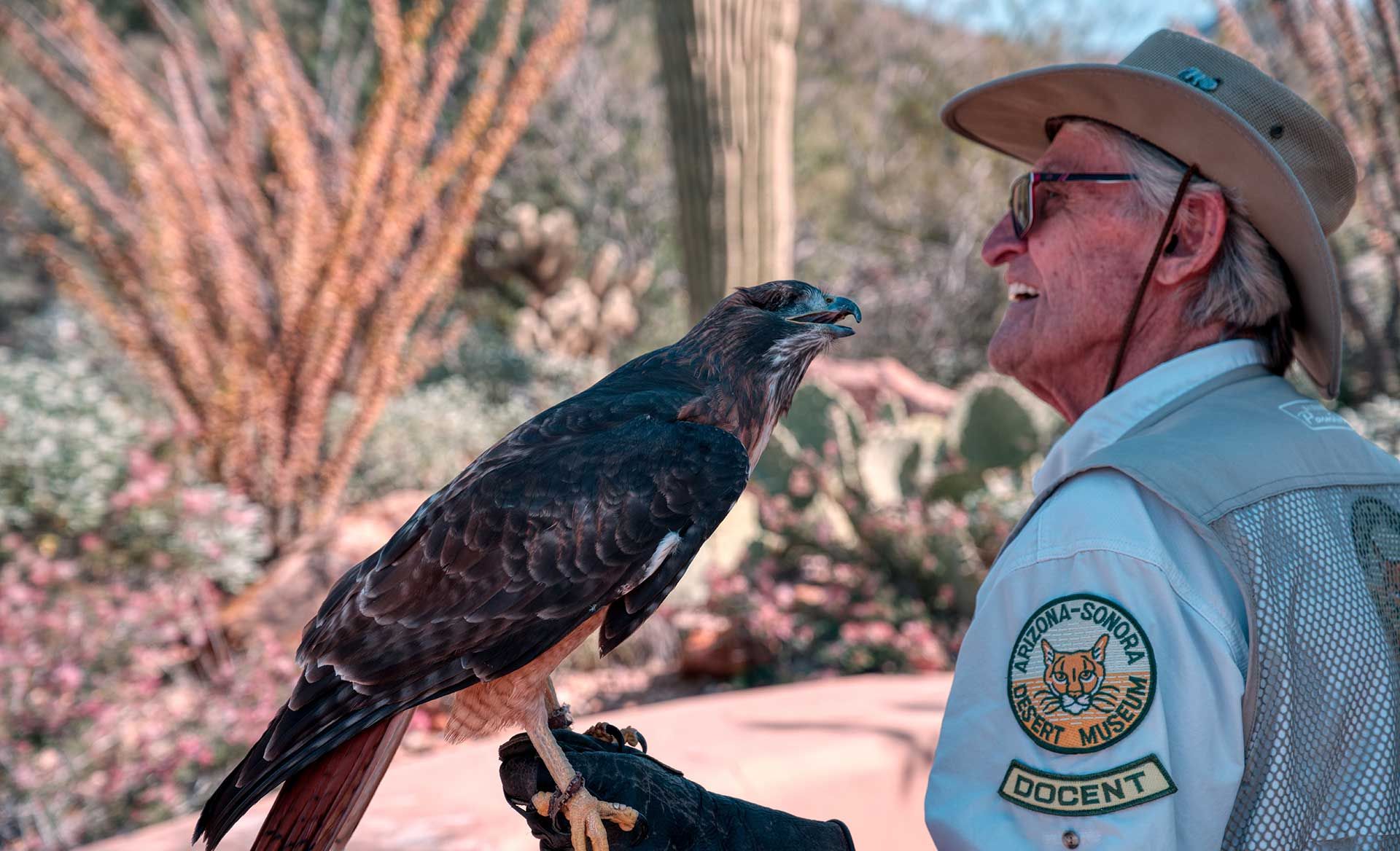 Unique Places to Visit and Points of Interest in Tucson, Arizona