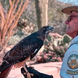 Unique Places to Visit and Points of Interest in Tucson, Arizona