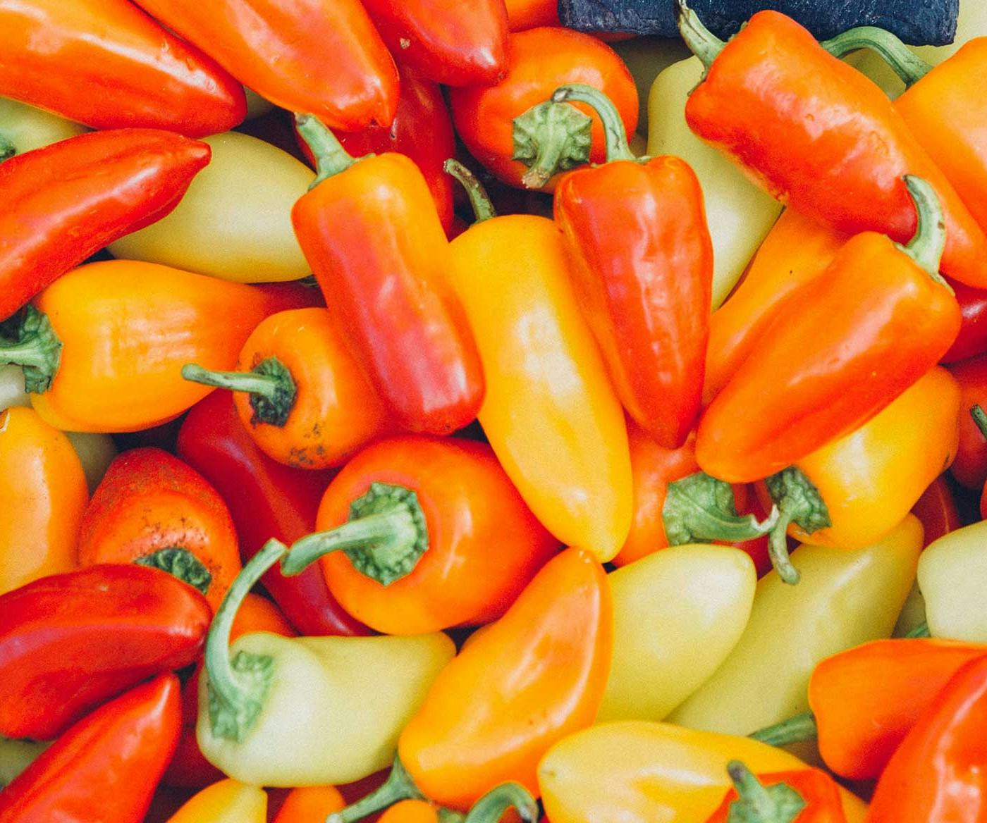 Unique Things to do in Tucson