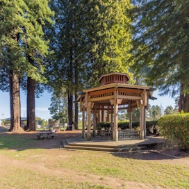 Sequoia Park Flower Garden