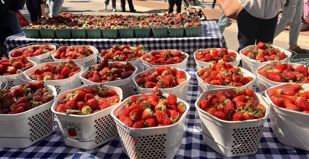 soda-city-market-002