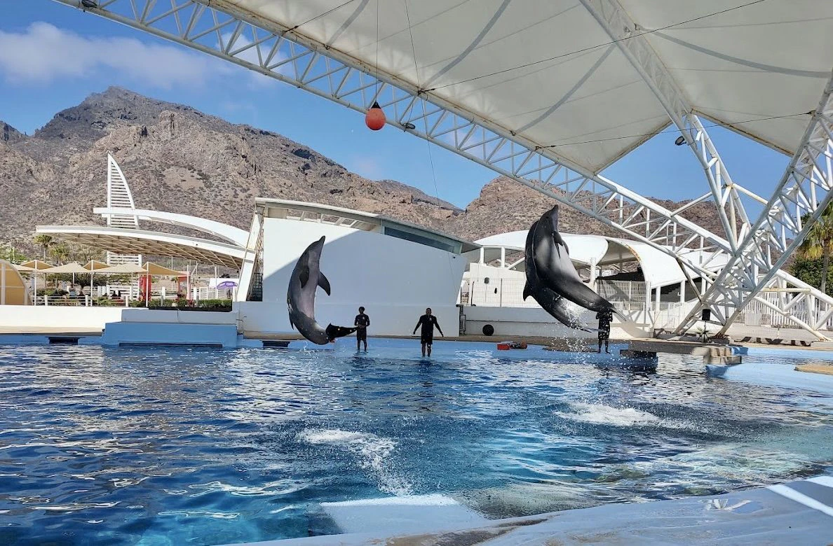 Sonora Dolphinarium 03.jpeg