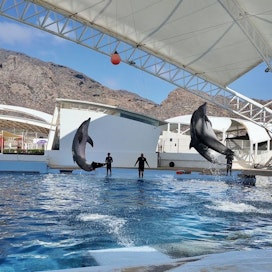 Sonora Dolphinarium