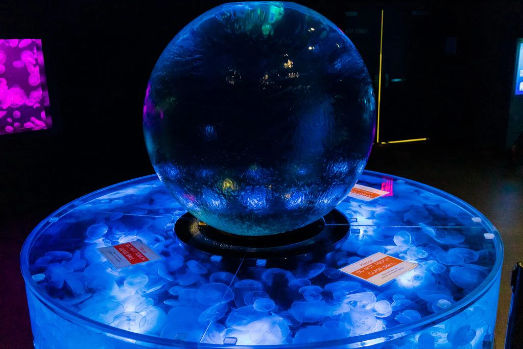 moody-gardens-pyramids-020