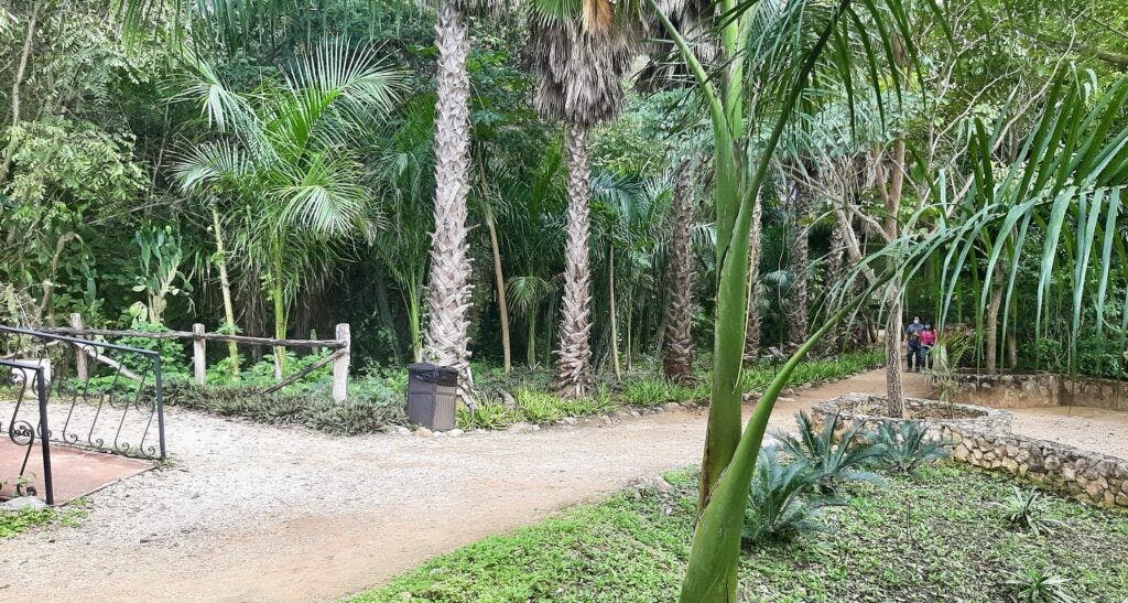 museo-choco-story-uxmal-003