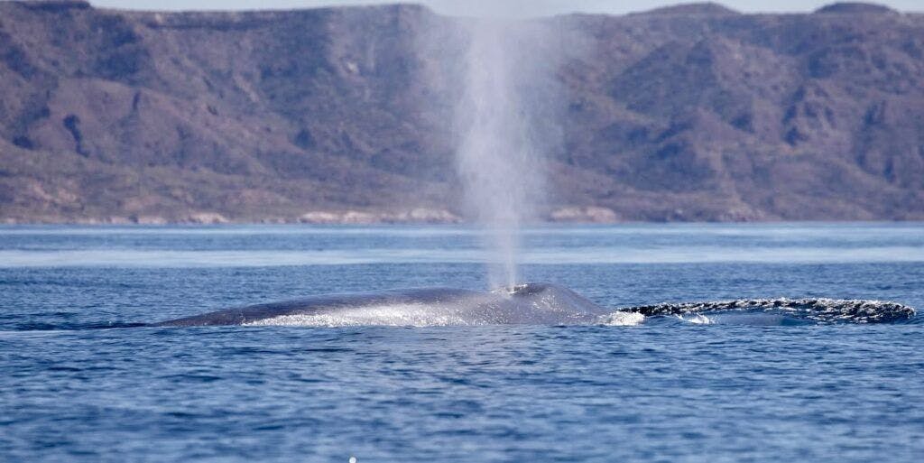 loreto-bay-national-park-002