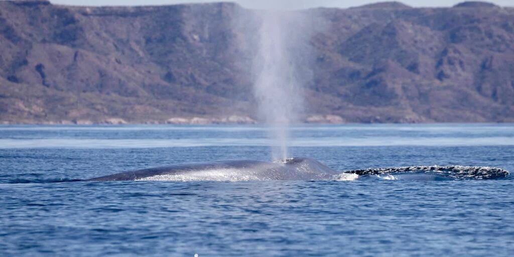 loreto-bay-national-park-002