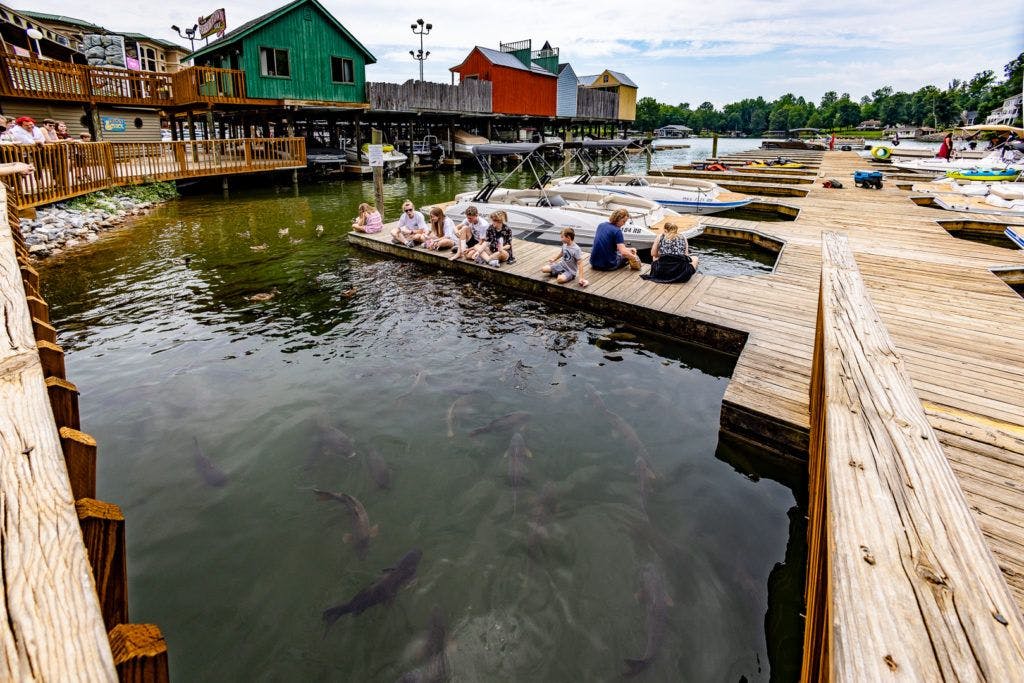 bridgewater-marina-and-pier-014