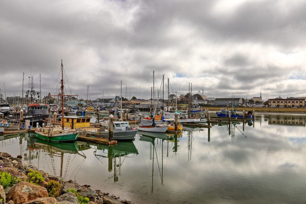 woodley-island-marina-012