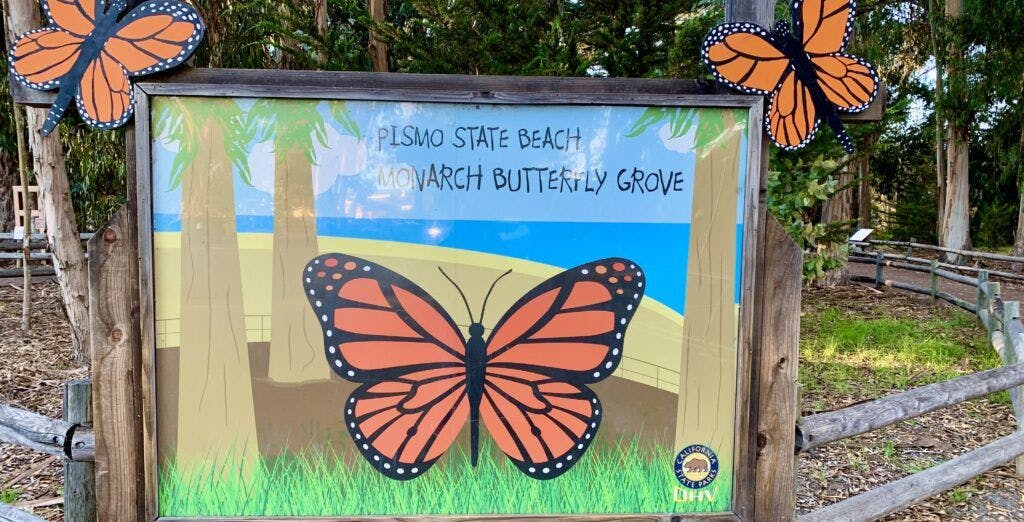 Monarch Butterfly Grove