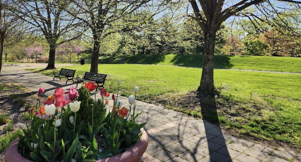 quiet-waters-park-001