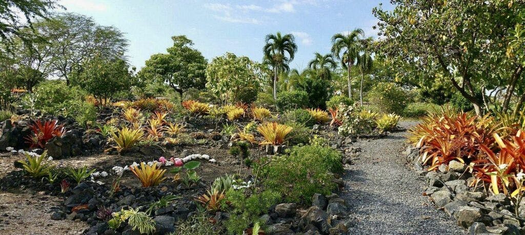 maka-eo-walking-path-002