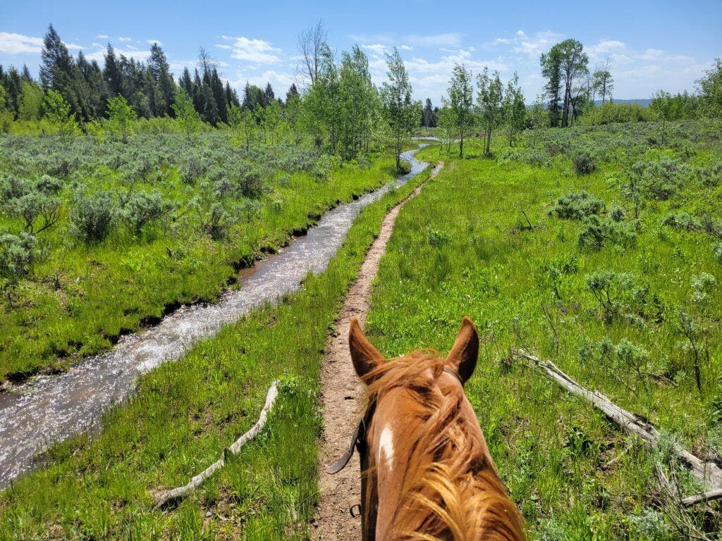 eagle-ridge-ranch-001