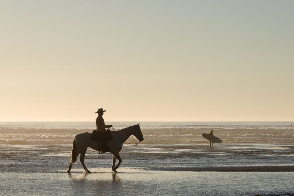 moonstone-beach-county-park-007