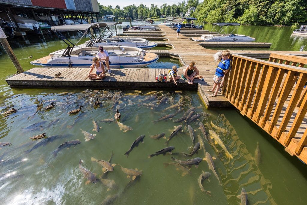 bridgewater-marina-and-pier-020