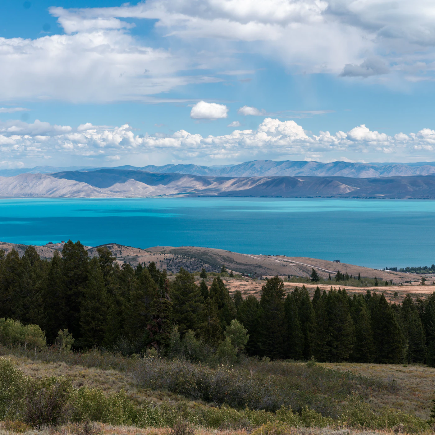 AdobeStock_1401466461.jpeg