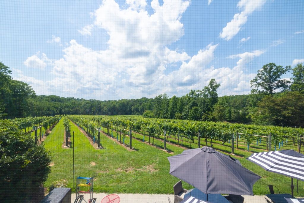 fables-and-feathers-winery-054