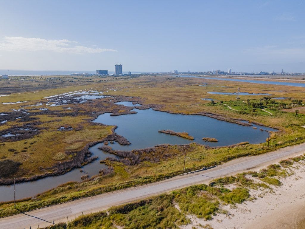 east-end-lagoon-nature-preserve-galveston-013
