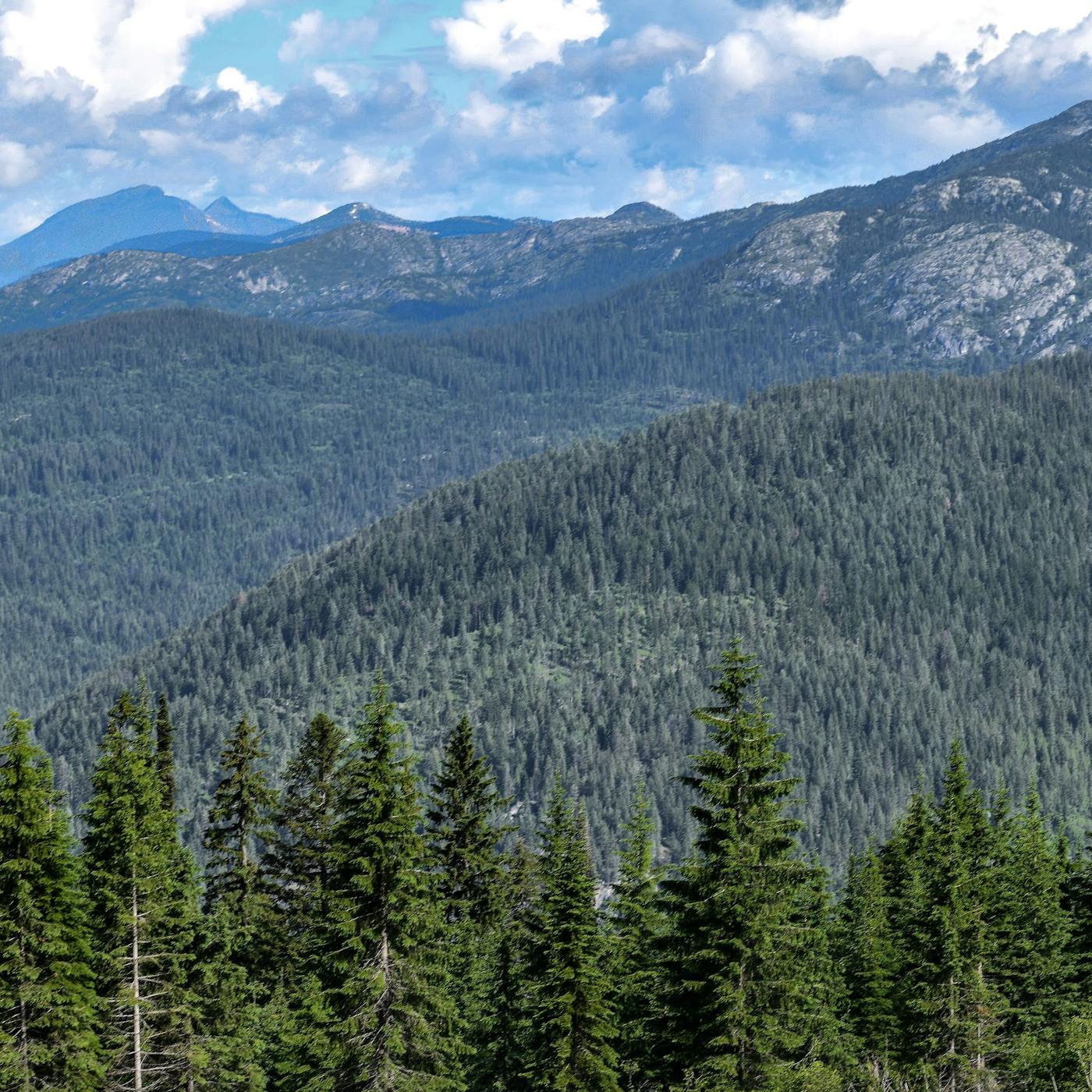 Schweitzer Mountain - North Central Idaho