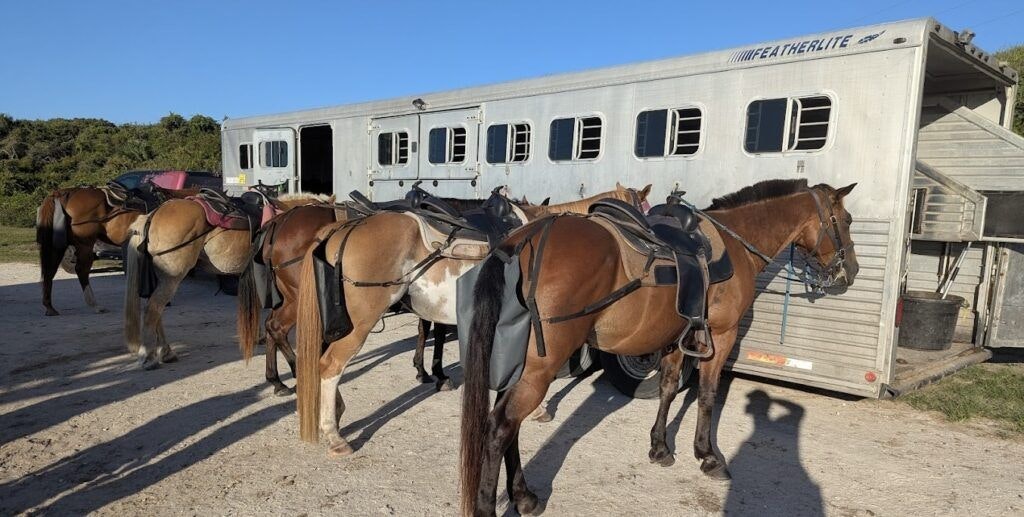 amelia-island-horseback-riding-004