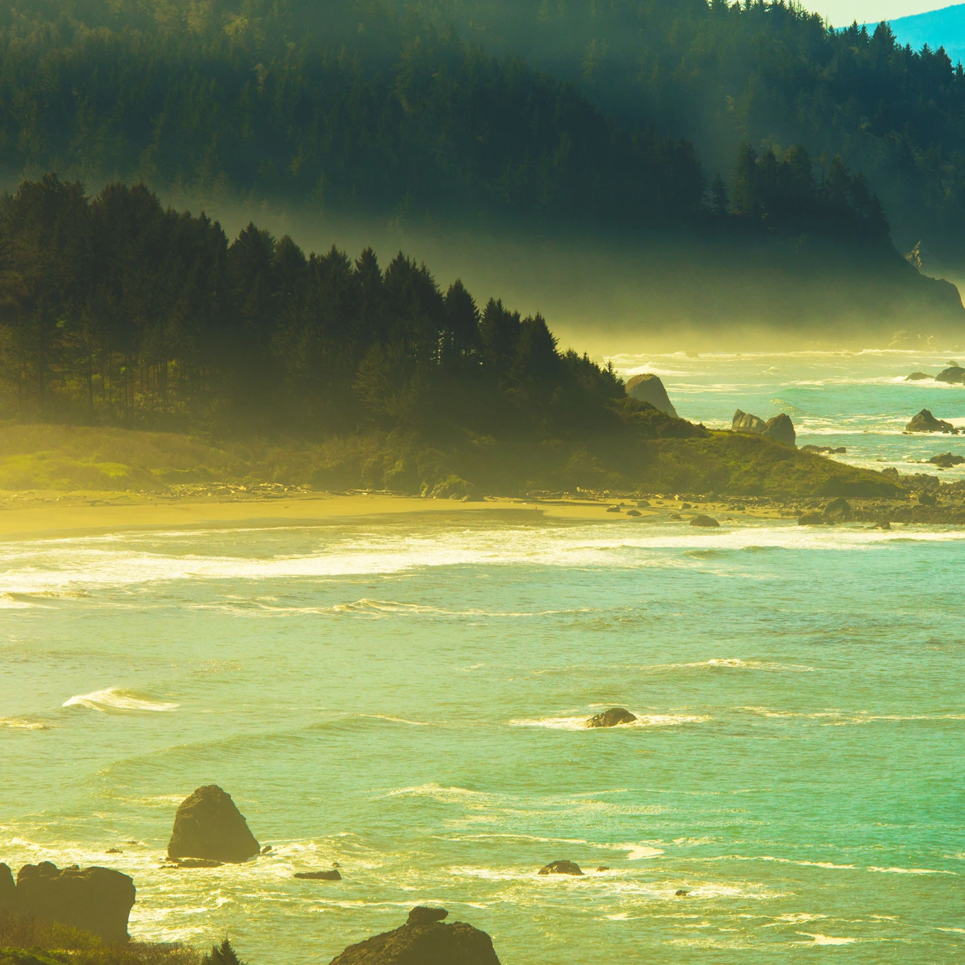 AdobeStock_82620386.jpeg