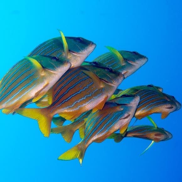 Places to Visit and Points of Interest in Los Cabos