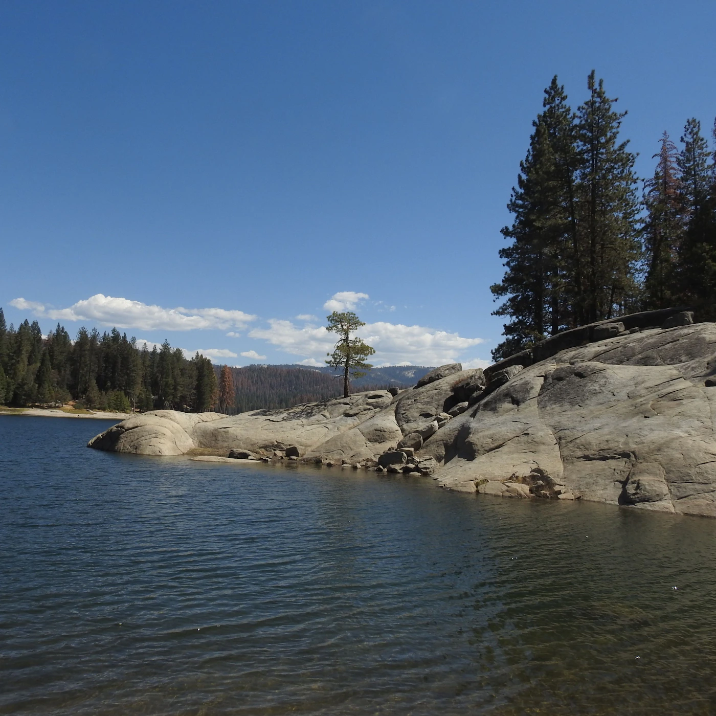 AdobeStock_416837307.jpeg