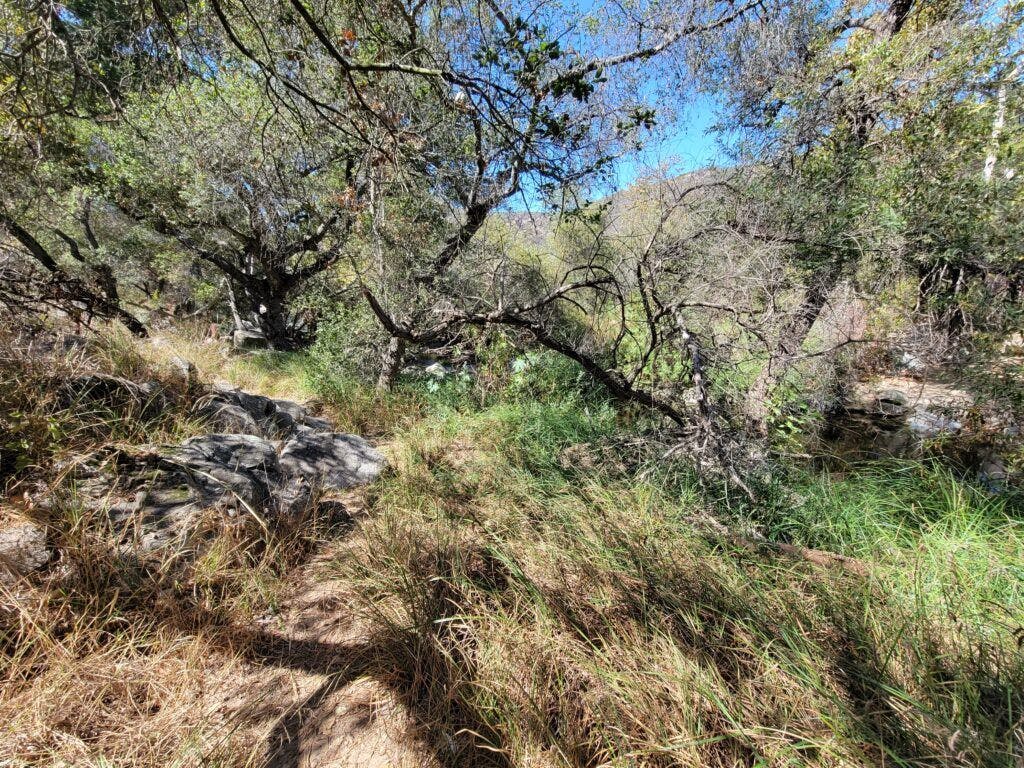 elfin-forest-recreational-reserve-003