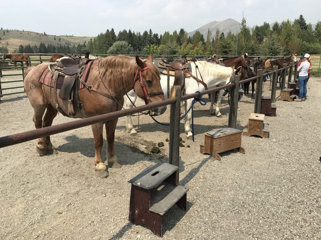 sun-valley-stables-003