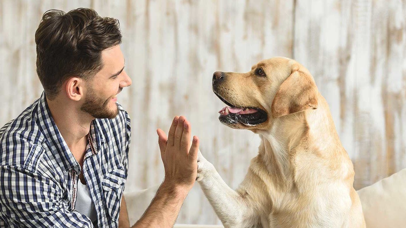 riviera-nayarit-TI-3-001