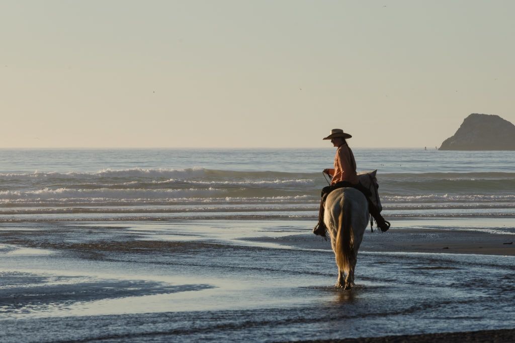 moonstone-beach-county-park-002