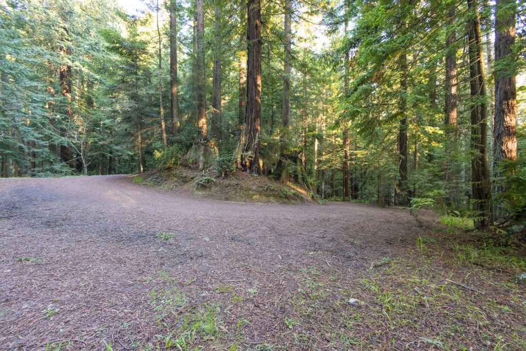 arcata-community-forest-007