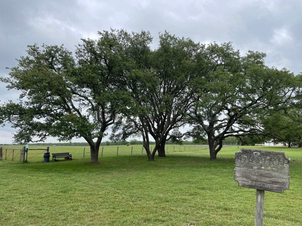 lyndon-b-johnson-national-historical-park-visitor-center-and-park-headquarters-005