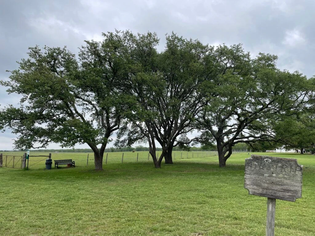 lyndon-b-johnson-national-historical-park-visitor-center-and-park-headquarters-005