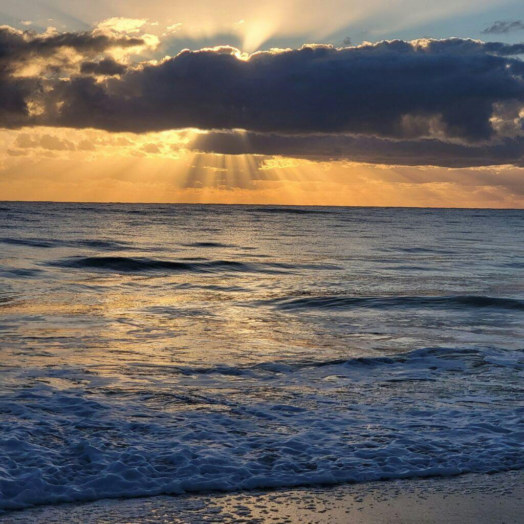 treasure-shores-park-002