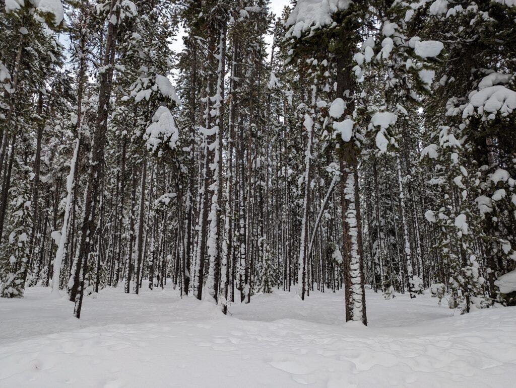 rendezvous-ski-trails-002