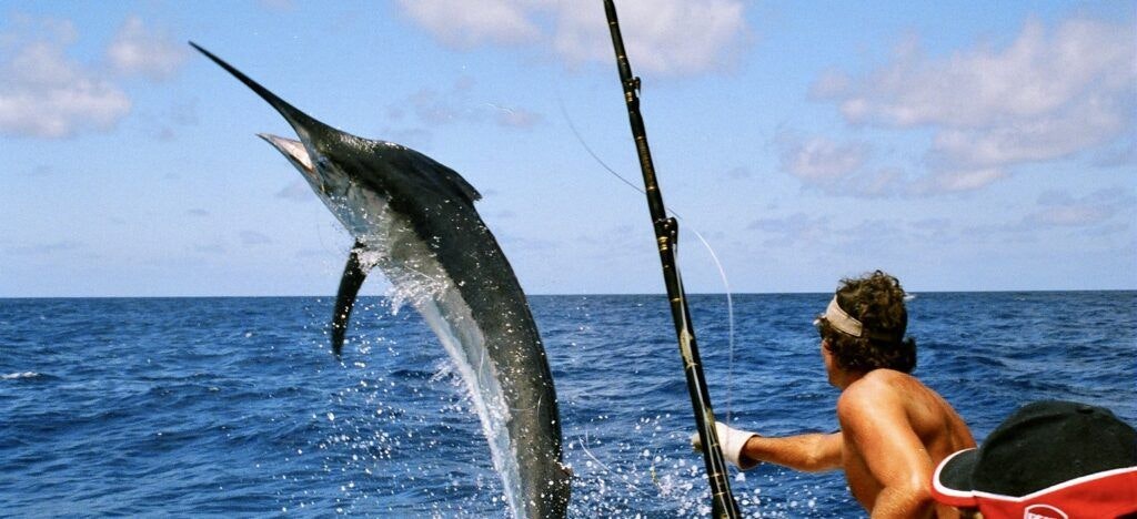 signature-triple-crown-003