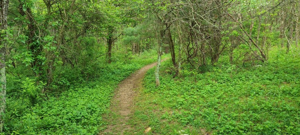 devil-s-den-nature-preserve-003