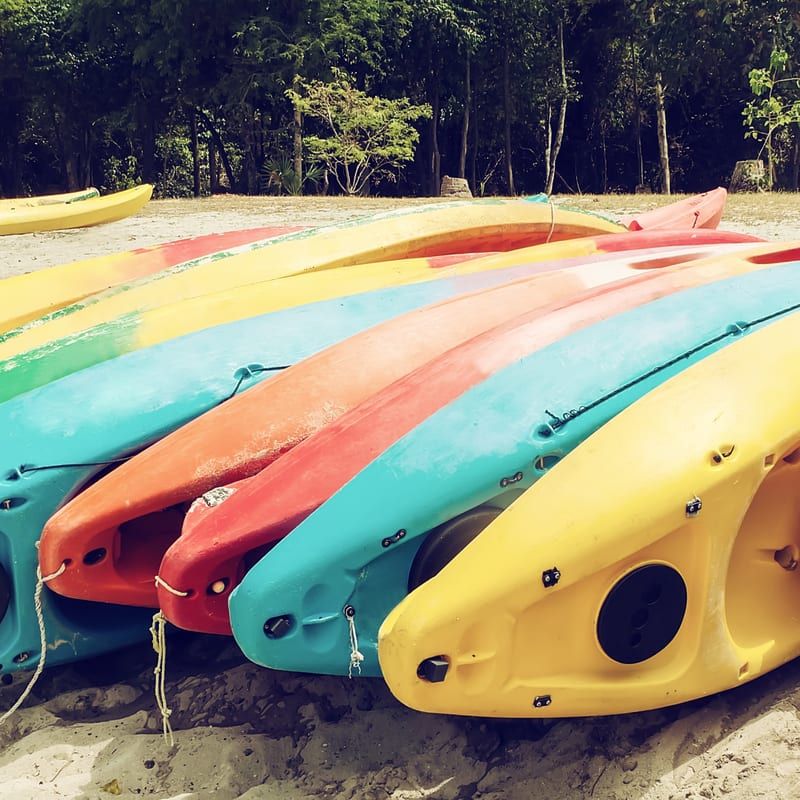 Unique Things to Do in Los Cabos