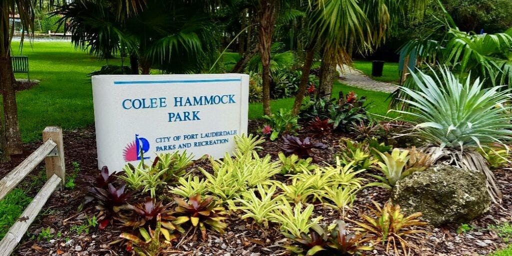 Colee Hammock Park